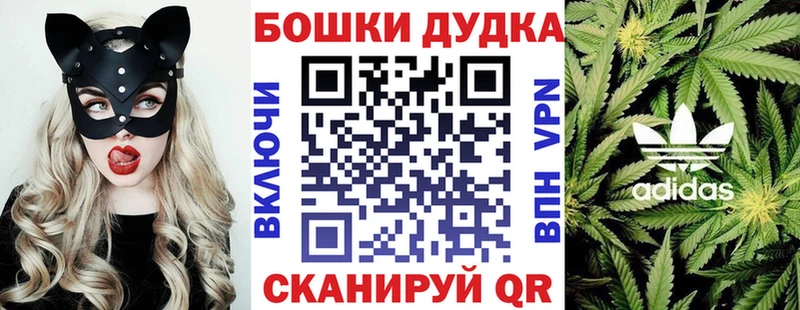 Где купить наркотики Заозёрный Гашиш Амфетамин Псилоцибиновые грибы ОМГ ОМГ вход Меф
