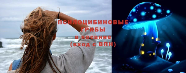 Альфа ПВП Беломорск