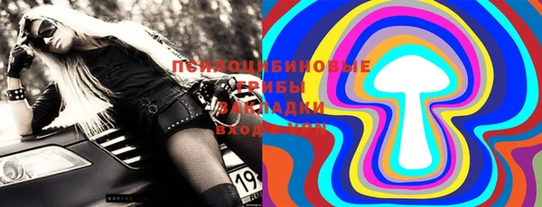 кокс Белокуриха