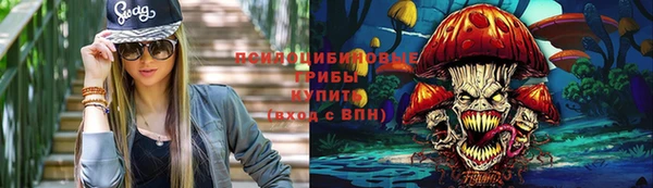 Альфа ПВП Беломорск